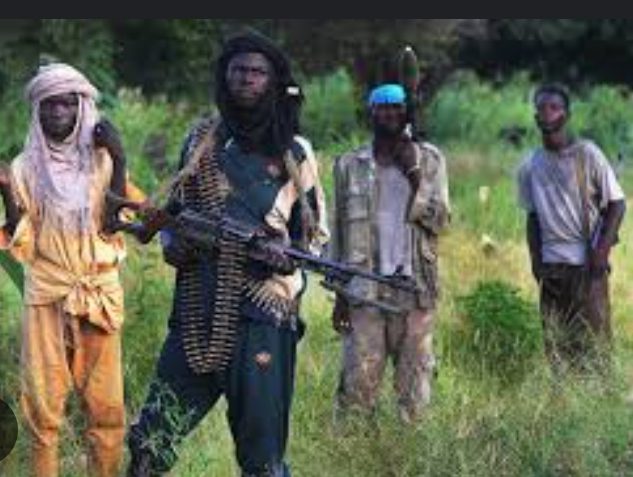 Fulani Herdsmen Overrun Communities In Enugu, Occupy Their Homes And Schools While The State Government Watches In Silence