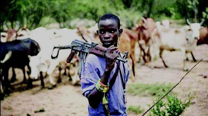 BREAKING: Security Guard Killed in Night Raid on Otobi Dam as Benue Communities Reel from Renewed Violence
