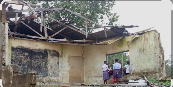 Snake Scares, Shuts Down Schools in Benue — Teachers and Pupils Flee!